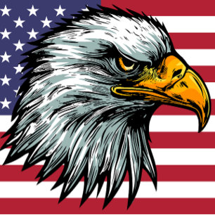 Patriot kale adelaar t-shirt