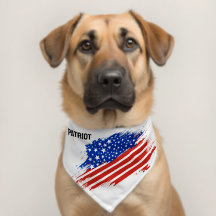 Patriot Pets Grunge Amerikaanse vlag