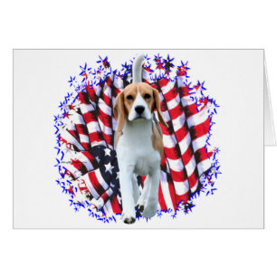 Patriote beagle