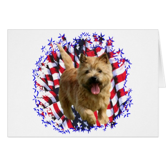 Patriote de Norwich Terrier (Devant horizontal)