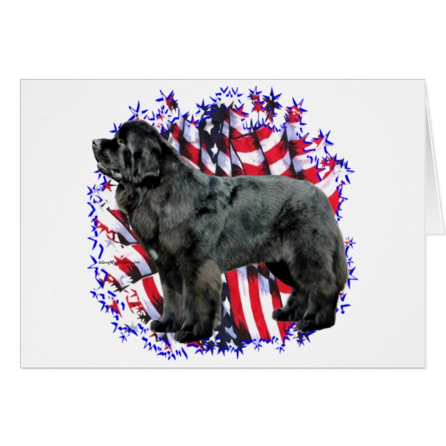 Patriote de Terre-Neuve (noir) (Devant horizontal)