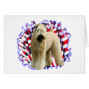 Patriote de Terrier, revêtu d'un revêtement souple