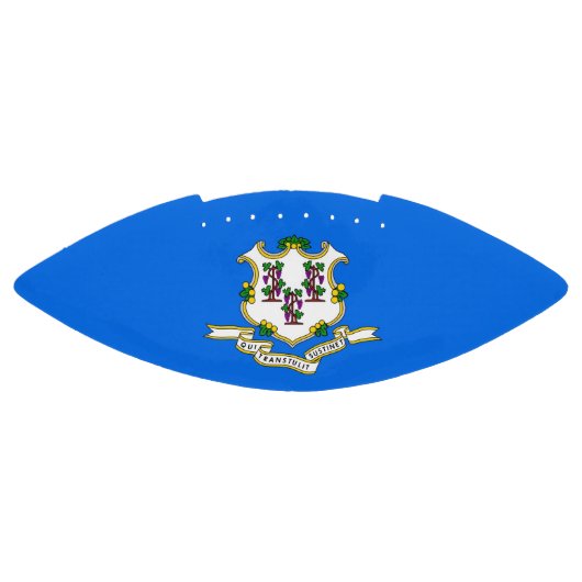 Patriotic american football with Connecticut flag (Paneel)