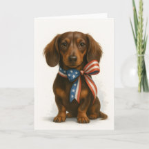 Patriotic Dachshund