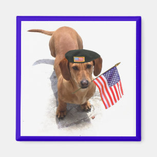 Patriotic dachshund magnet magneet