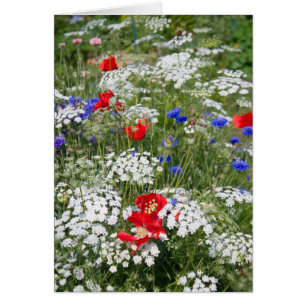 Patriotic Flower Garden Card