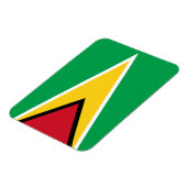 Patriotic Guyana Flag Magneet (Linkerzijde)