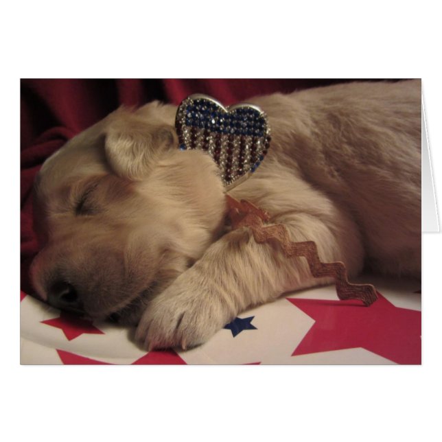 Patriotic Lucy (Voorkant Horizontaal)