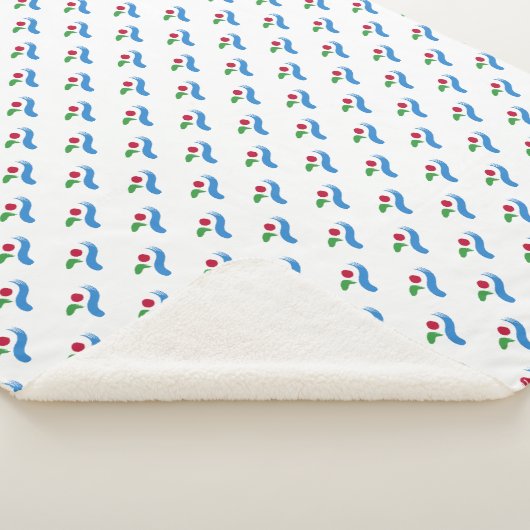 Patriotic Sherpa Blanket with flag of Seoul Sherpa Deken (3/4)