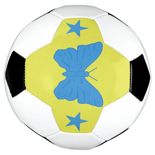 Patriotic Soccer Ball with Flag of Bady Bassit (Tourné)