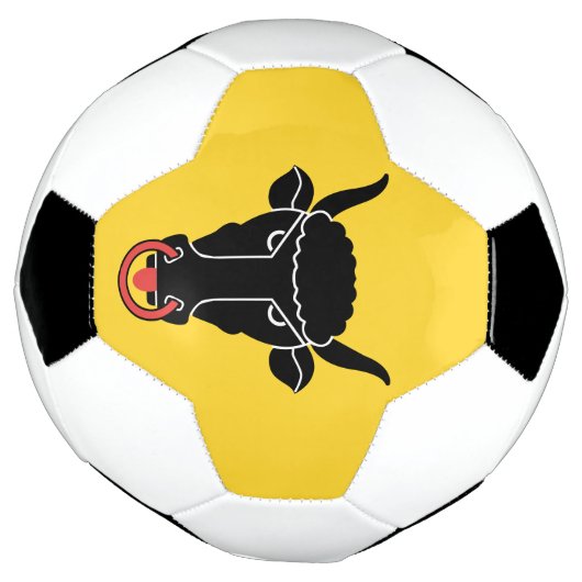 Patriotic Soccer Ball with Flag of Uri (Tourné)