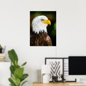 Patriottic Adult American Bald Eagle Poster (Thuiskantoor)