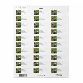 Patriottic Return Address Label (Full Sheet)
