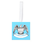  patriottisch agle PlaqueThunder_Cove Kubus Ornament (Voorkant)