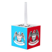  patriottisch agle PlaqueThunder_Cove Kubus Ornament (Achter hoekig)