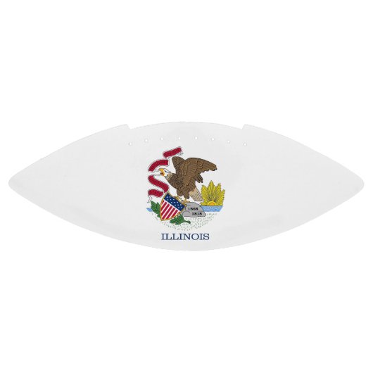 Patriottisch Amerikaans football met Illinois vlag (Paneel)