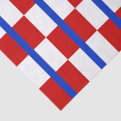 Patriottisch geruit tissuepapier (Detail)