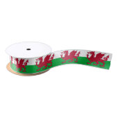 Patriottisch lint met vlag van Wales (Spoel)