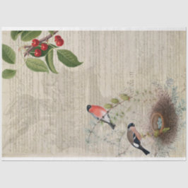 Patriottisch meubelpapier tissuepapier