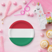 Patriottisch papieren bord met Hongaarse vlag (Feest)