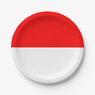 Patriottisch papieren bord met Indonesische vlag