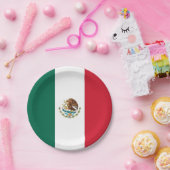 Patriottisch papieren bord met Mexicaanse vlag (Feest)