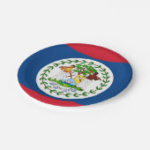 Patriottisch papieren bord met vlag van Belize (Gekanteld)
