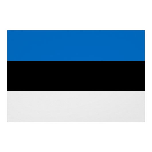 Patriottisch poster met de vlag van Estland Perfect Poster (Voorkant)