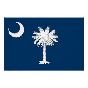 Patriottisch poster met vlag van South Carolina Perfect Poster