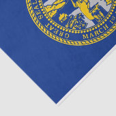 Patriottisch tissuepapier met vlag Nebraska, Veren (Detail)