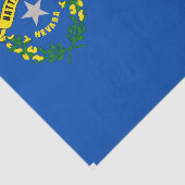 Patriottisch tissuepapier met vlag Nevada, Verenig (Detail)