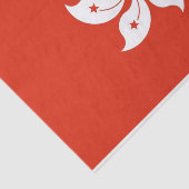 Patriottisch tissuepapier met vlag van Hongkong (Detail)