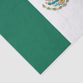 Patriottisch tissuepapier met vlag van Mexico (Detail)