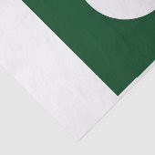 Patriottisch tissuepapier met vlag van Pakistan (Detail)