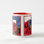 Patriottisch Tweekleurige Koffiemok (Center)