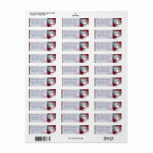 Patriottisch VS Vrijheidsbeeld Vlag Label (Full Sheet)