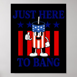 Patriottisch vuurwerk usa humor gewoon hier om te poster