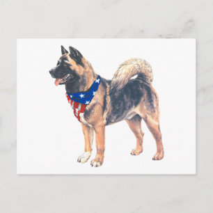 Patriottische Akita Briefkaart