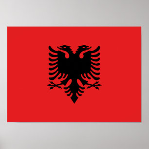 Patriottische Albanese vlag Poster