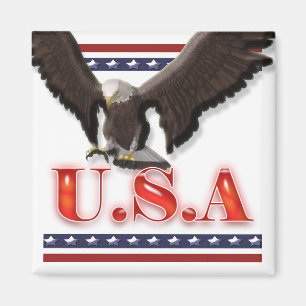 Patriottische Amerikaanse adelaar sterren strepen Magneet