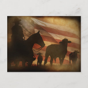 Patriottische Amerikaanse cowboy en Cattle Western Briefkaart