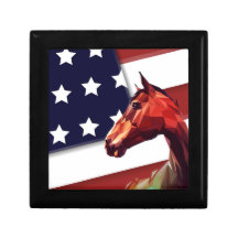 Patriottische Amerikaanse vlag en paard