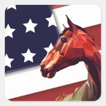 Patriottische Amerikaanse vlag en paard