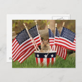 Patriottische Chipmunk Briefkaart (Voorkant / Achterkant)