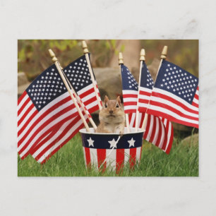 Patriottische Chipmunk Briefkaart