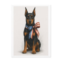 Patriottische Dobermann Pinscher