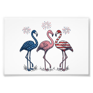 Patriottische Flamingo Trio Vintage Gravure Design Foto Afdruk