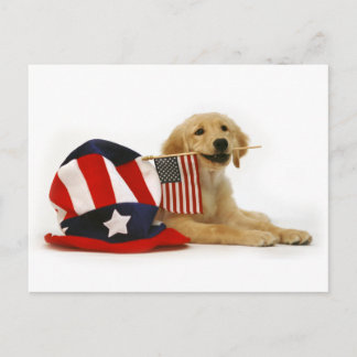 Patriottische gouden puppy briefkaart