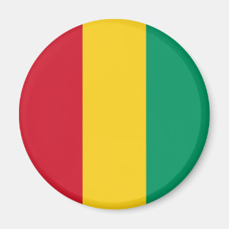 Patriottische Guineese vlag Magneet