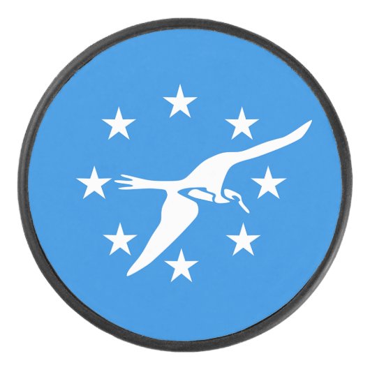 Patriottische hockeypuck met vlag van Corpus Chris Hockey Puck (Voorkant)